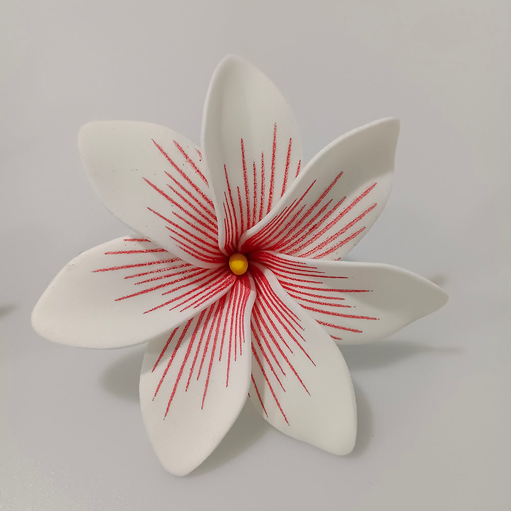 Tekiteki Tiare est l'accessoire parfait pour sublimer votre look à l'occasion de fêtes et autres évènements spéciaux. Une fleur de couleur vivante et joyeuse à porter à l'oreille ou dans les cheveux, elle s'adapte à tous les style et permet de créer des tenues habillées et raffinées.