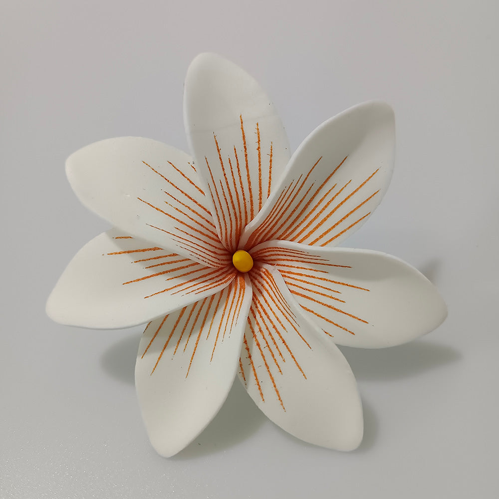Tekiteki Tiare est l'accessoire parfait pour sublimer votre look à l'occasion de fêtes et autres évènements spéciaux. Une fleur de couleur vivante et joyeuse à porter à l'oreille ou dans les cheveux, elle s'adapte à tous les style et permet de créer des tenues habillées et raffinées.