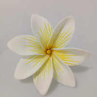 Tekiteki Tiare est l'accessoire parfait pour sublimer votre look à l'occasion de fêtes et autres évènements spéciaux. Une fleur de couleur vivante et joyeuse à porter à l'oreille ou dans les cheveux, elle s'adapte à tous les style et permet de créer des tenues habillées et raffinées.