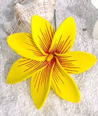 Tekiteki Tiare est l'accessoire parfait pour sublimer votre look à l'occasion de fêtes et autres évènements spéciaux. Une fleur de couleur vivante et joyeuse à porter à l'oreille ou dans les cheveux, elle s'adapte à tous les style et permet de créer des tenues habillées et raffinées.